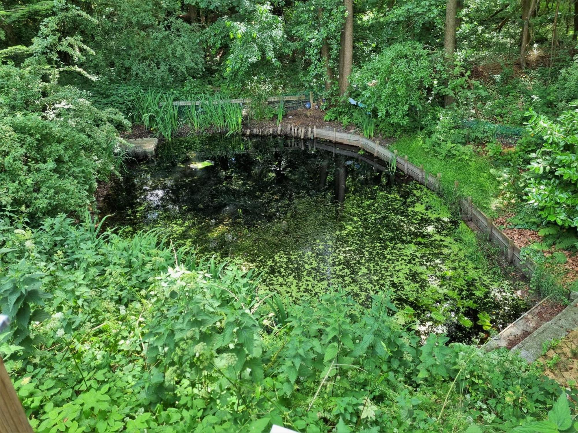 Ferienhaus Paulsen - Gemuetliches Haeuschen Mit Vollstaendig Eingezaeuntem Garten Und Kamin Silberstedt Exterior foto